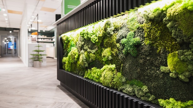 A wall with a vertical garden installation. - GreenStar Hotel Vaasa (Vaasa)