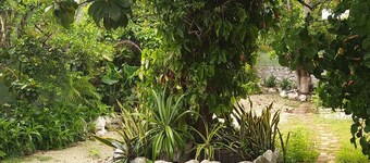 Casa Hostal Mamey - Hostel