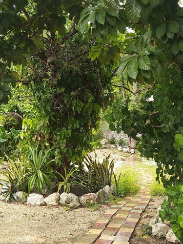 Casa Hostal Mamey - Hostel