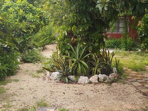 Jardin