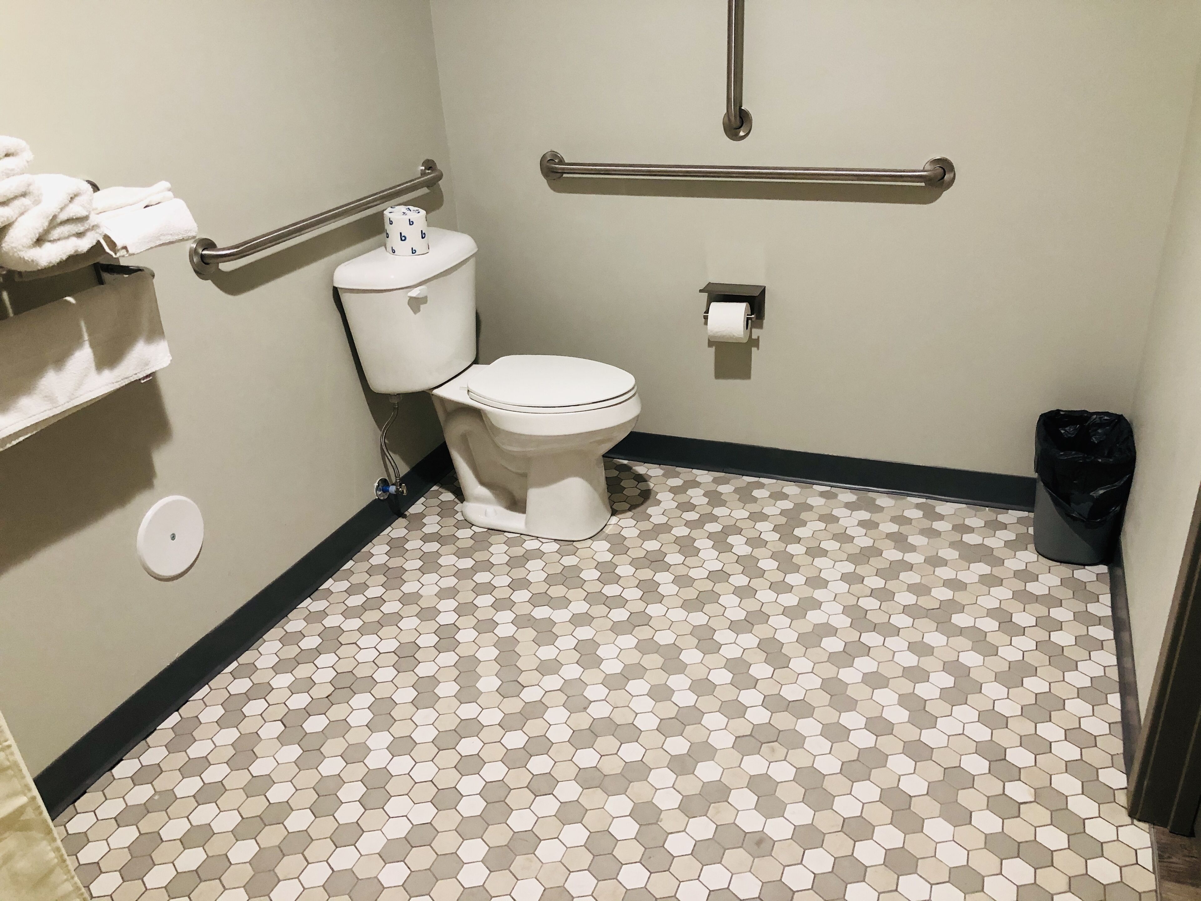 A small, clean bathroom with a toilet, a handrail, a trash bin, and a toilet paper holder.