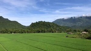Un paisaje rural con campos verdes y una montaña al fondo.