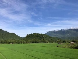 Un paisaje rural con campos verdes y una montaña al fondo.