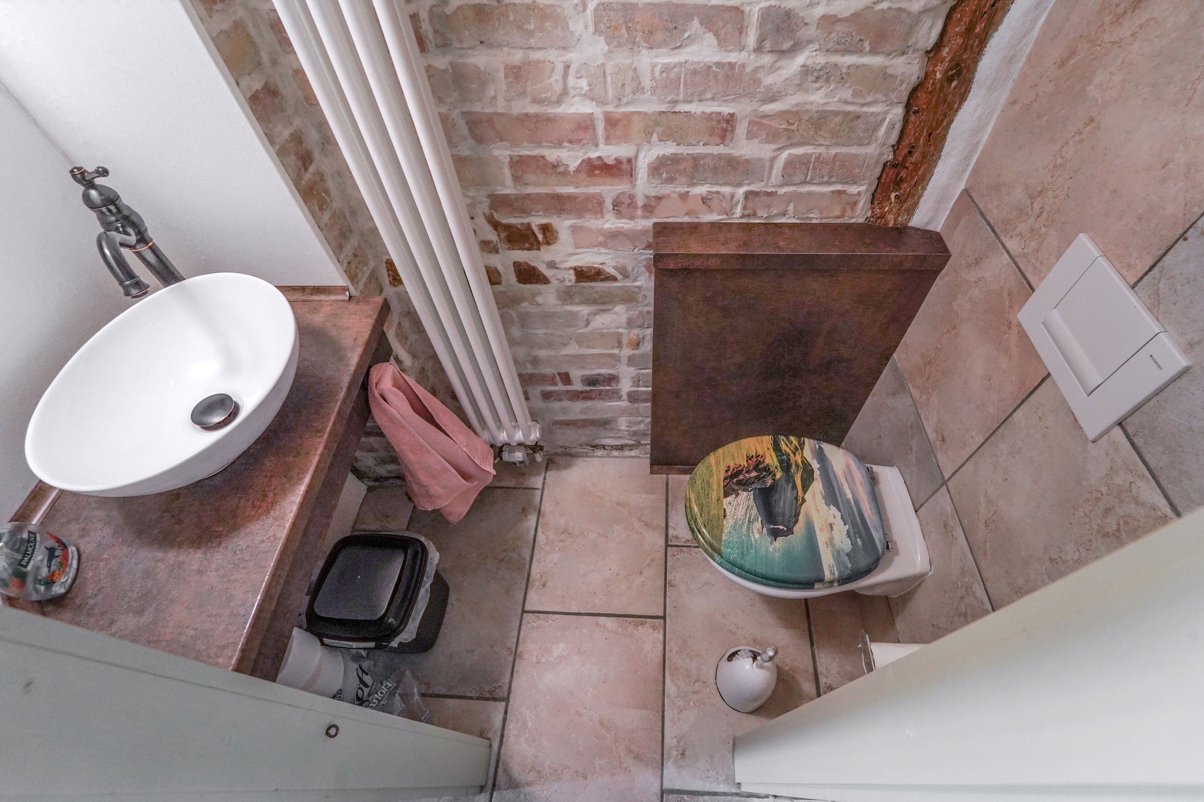 A bathroom with a white sink, a shower, and a toilet with a decorative cover.