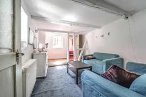 Smart TV, DVD player, books