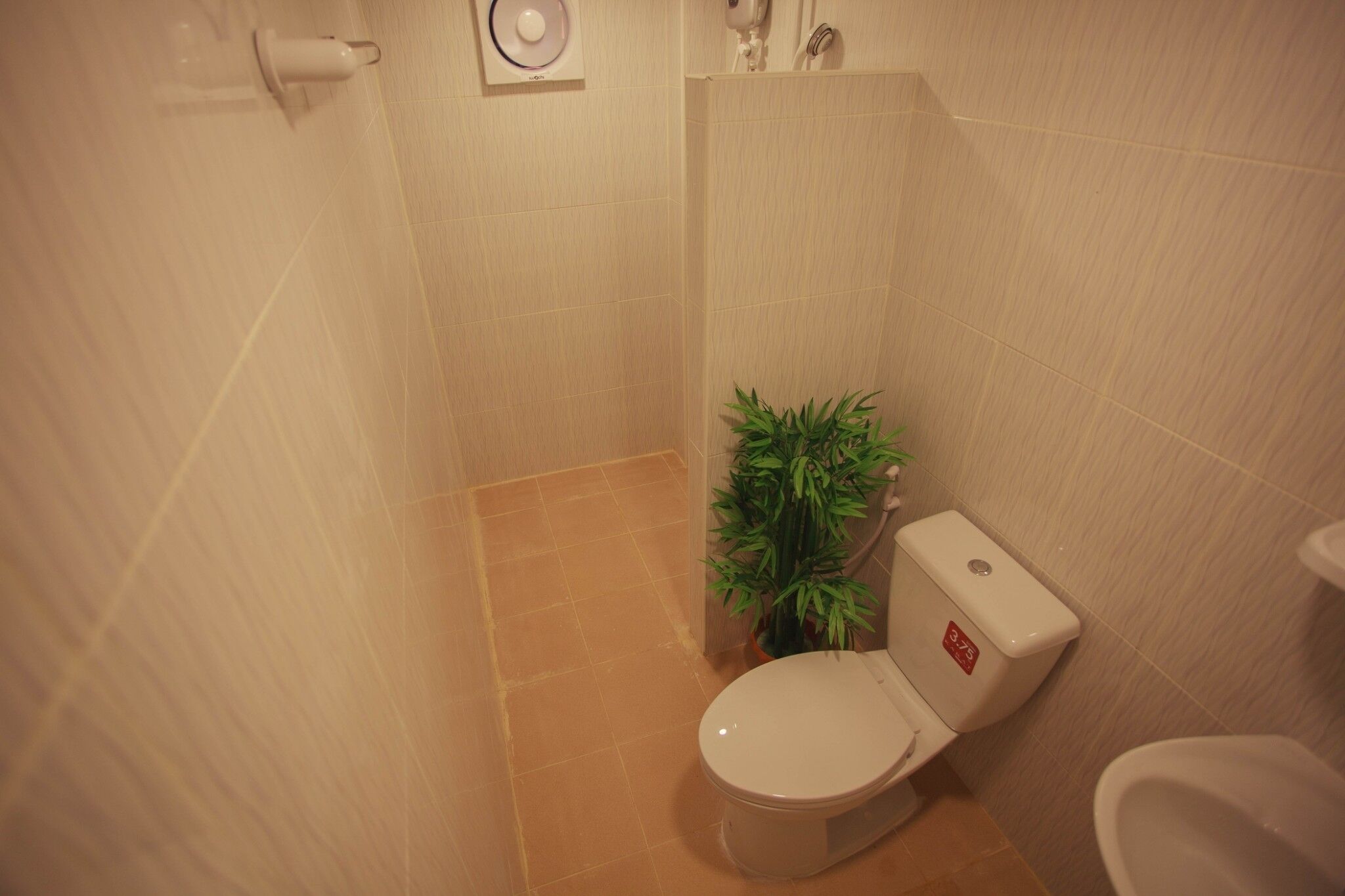 Un baño pequeño con inodoro, ducha y una planta en maceta.