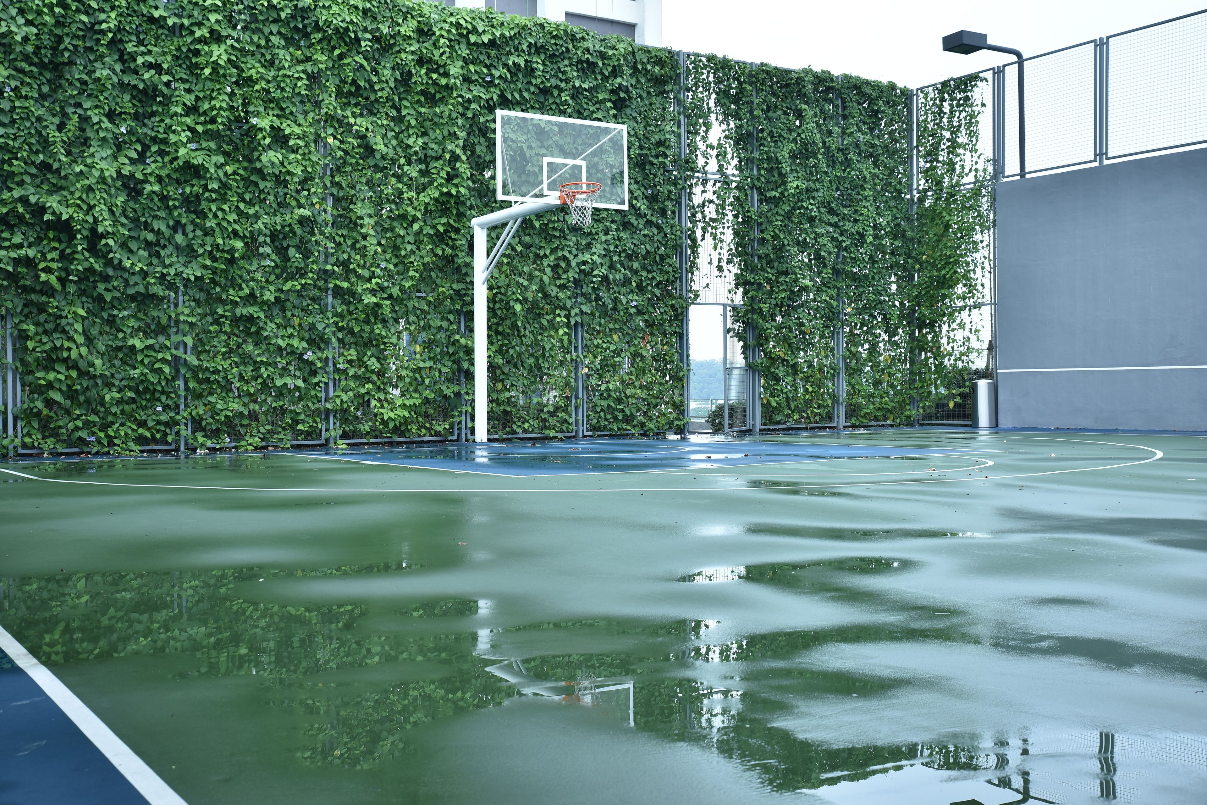 Basketball court