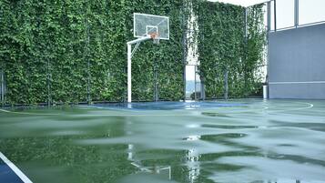 Basketball court