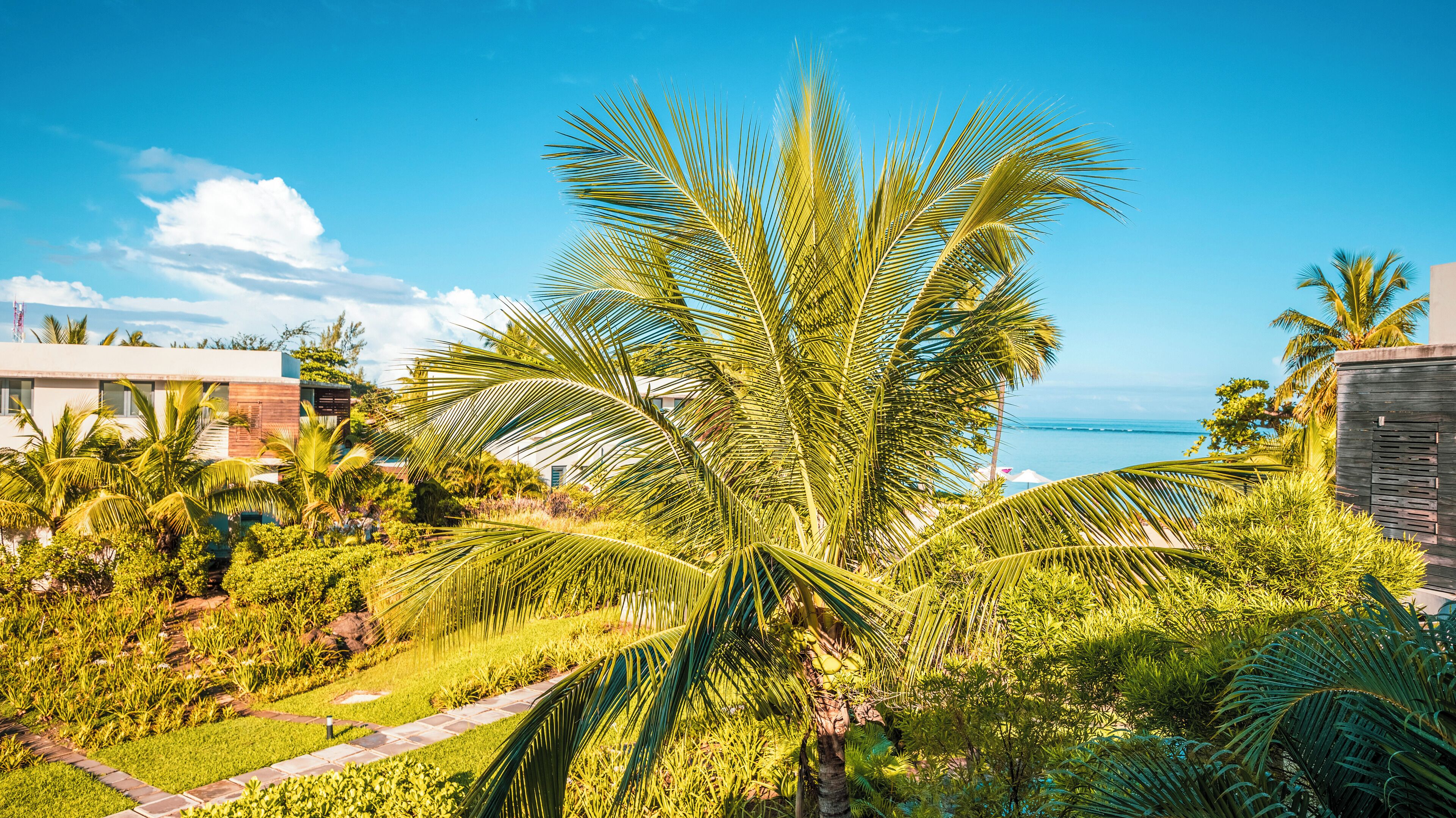 A tropical resort with palm trees, a pathway, and a view of the ocean.