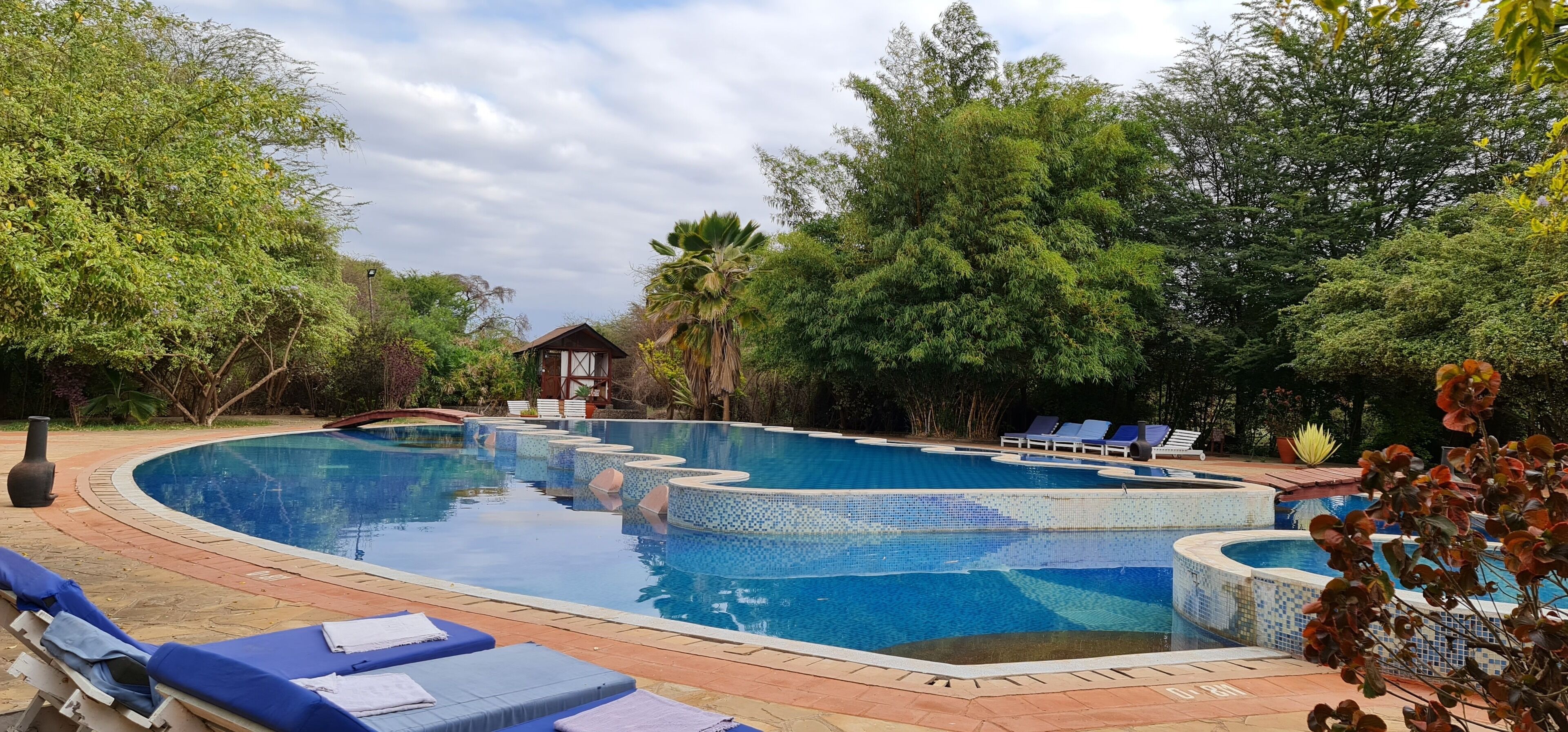 A swimming pool with blue mosaic tiles, surrounded by lounge chairs and palm trees.
