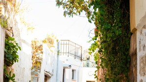 A narrow cobblestone street flanked by buildings with white walls and some greenery.