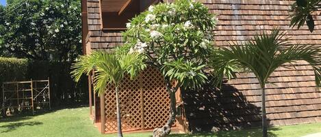 A building with a brick exterior and a wooden lattice fence. There are two potted plants in front of the building.