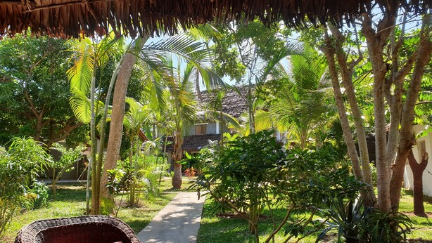 A pathway leading through a lush garden with palm trees and other greenery, surrounded by buildings. - Kintana Hotel (Nosy Be)