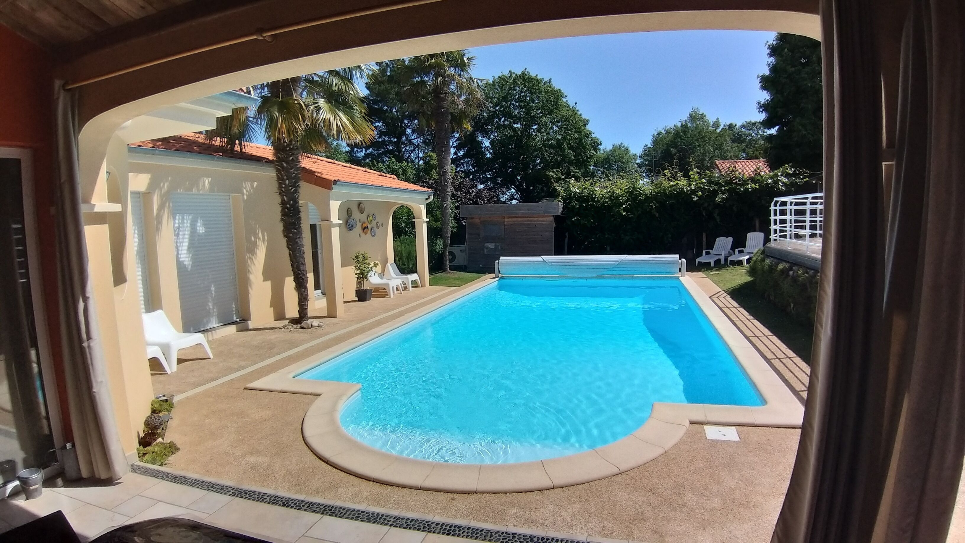 A rectangular swimming pool with a hot tub in the center, surrounded by lounge chairs and palm trees.