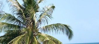 Anaya Koh Rong