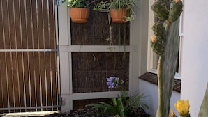 A wooden deck with a cactus plant in a terracotta pot, a wooden fence, and a white wall with a window. - McCrae beach Villa on Wattle Place, a 5 mins walk to the beach (McCrae)