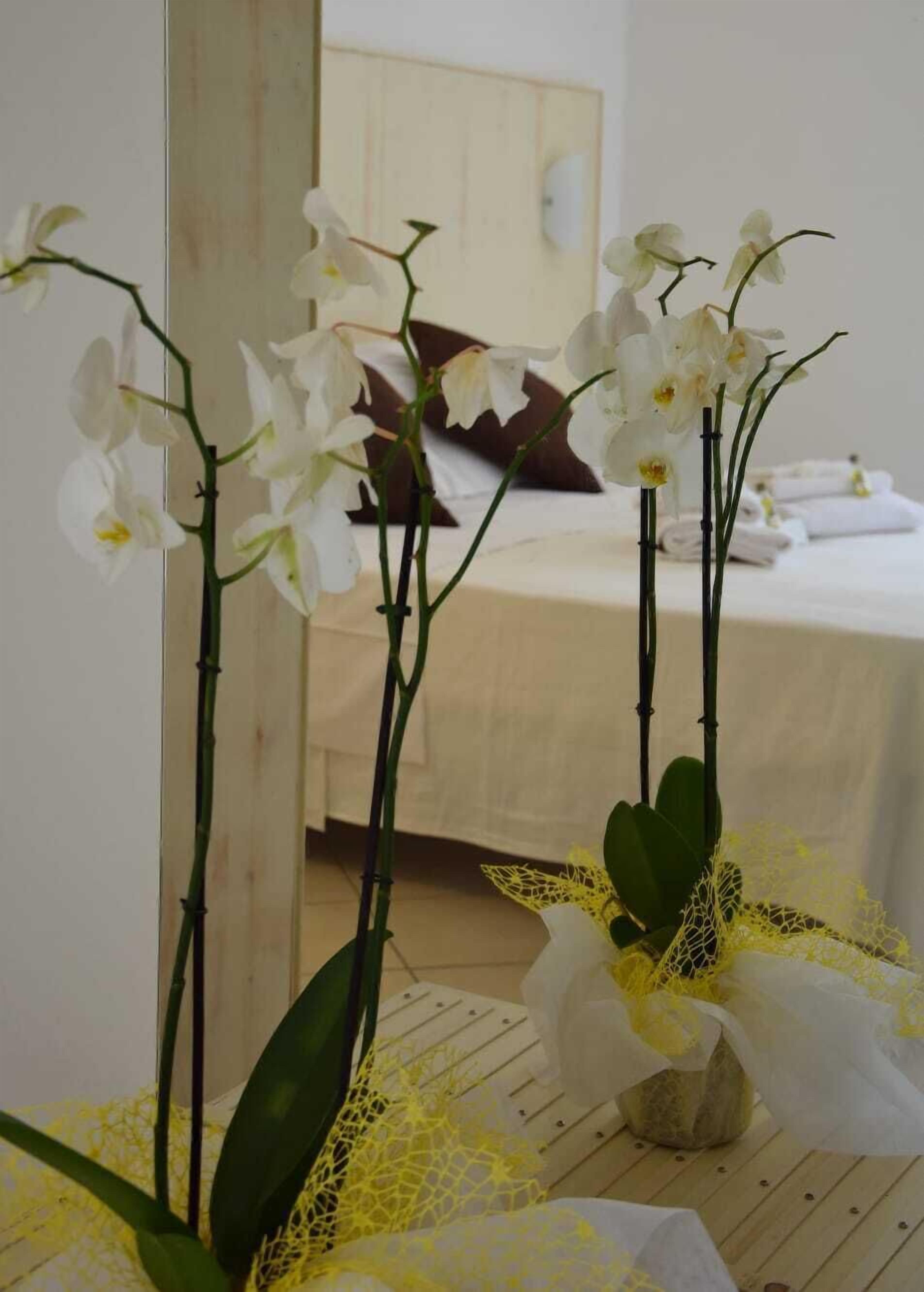 Classic-Doppel- oder -Zweibettzimmer, eigenes Bad | Zimmerausstattung