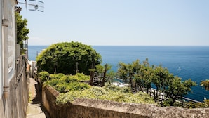 A coastal view with a stone wall, a large tree, and a clear blue sea. - Casa Bellevue (Positano)
