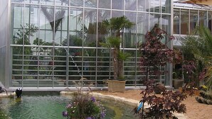 Een broeikas met glazen dak, omringd door een tuin met een vijver en diverse planten.