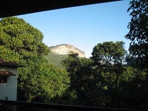 Una montaña con un pico rocoso y un denso follaje verde en primer plano.