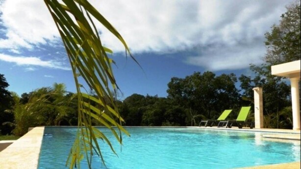 A clear blue swimming pool with a palm tree in the foreground, surrounded by lush greenery and a clear sky. - Two Bedroom With Jaccuzi Gated (Sosúa)