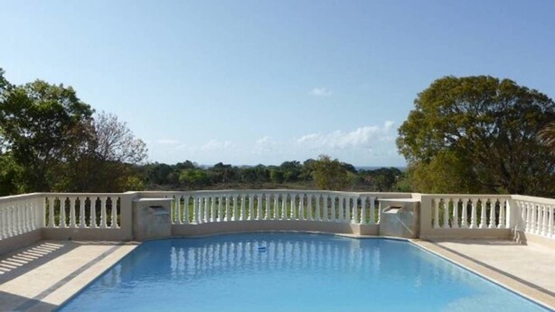 Une piscine rectangulaire dotée d’une balustrade blanche, entourée d’arbres et surplombée par un ciel dégagé.