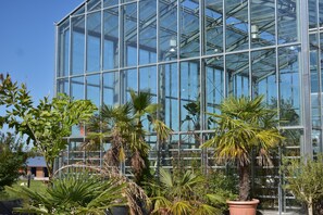 Une grande serre en verre, dotée d’une structure métallique, entourée de différentes plantes et arbres en pot.