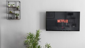 Ein modernes Wohnzimmer mit einem an der Wand befestigten Flachbildfernseher, der das Netflix-Logo zeigt, einer schlichten Regalanlage mit Pflanzen und einer Bambuspflanze im Vordergrund.