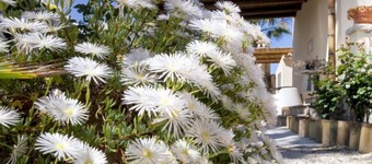 Agriturismo Don Carlo