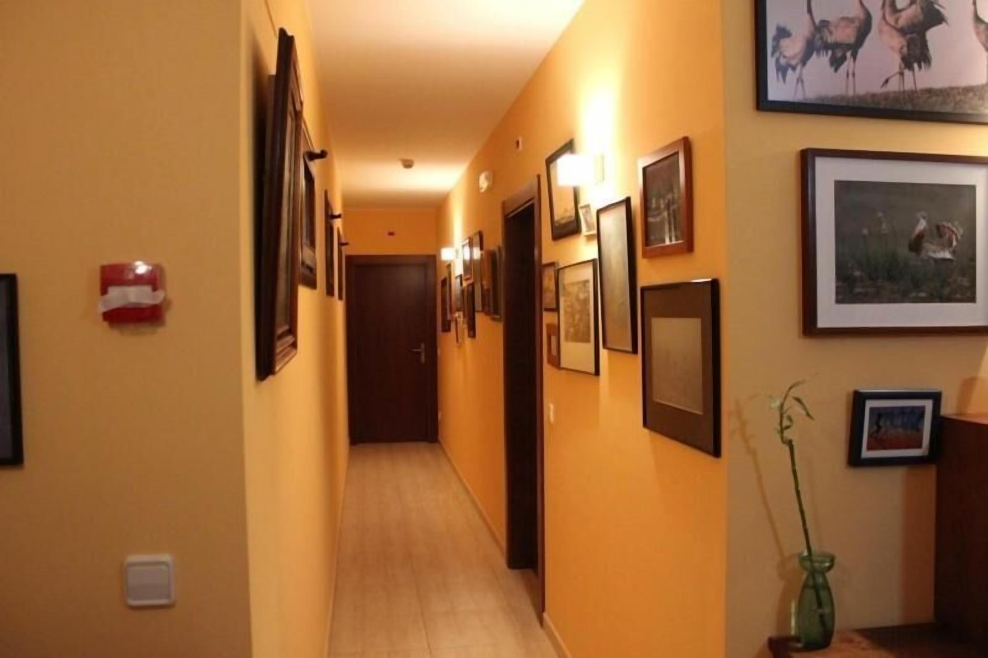 Un passadís amb quadres a les parets, una porta al final i una planta petita sobre una taula.