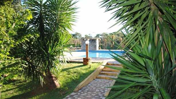 Un sendero de piedra conduce a una piscina rodeada de abundante vegetación.