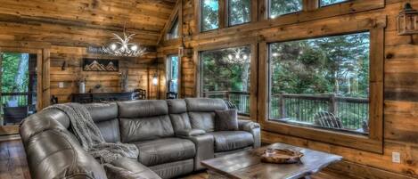 Televisión, chimenea, videojuegos y reproductor de DVD