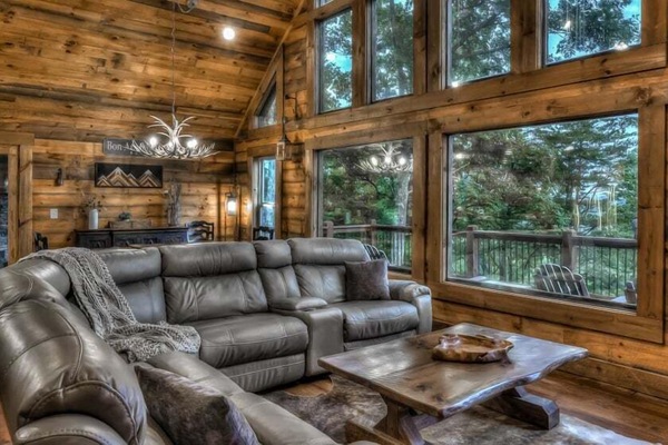 TV, fireplace, video games, DVD player