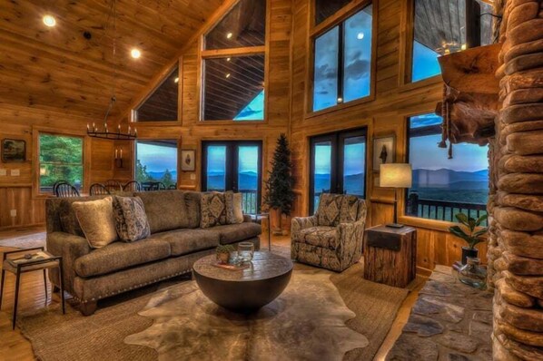 Televisión, chimenea, reproductor de DVD, libros