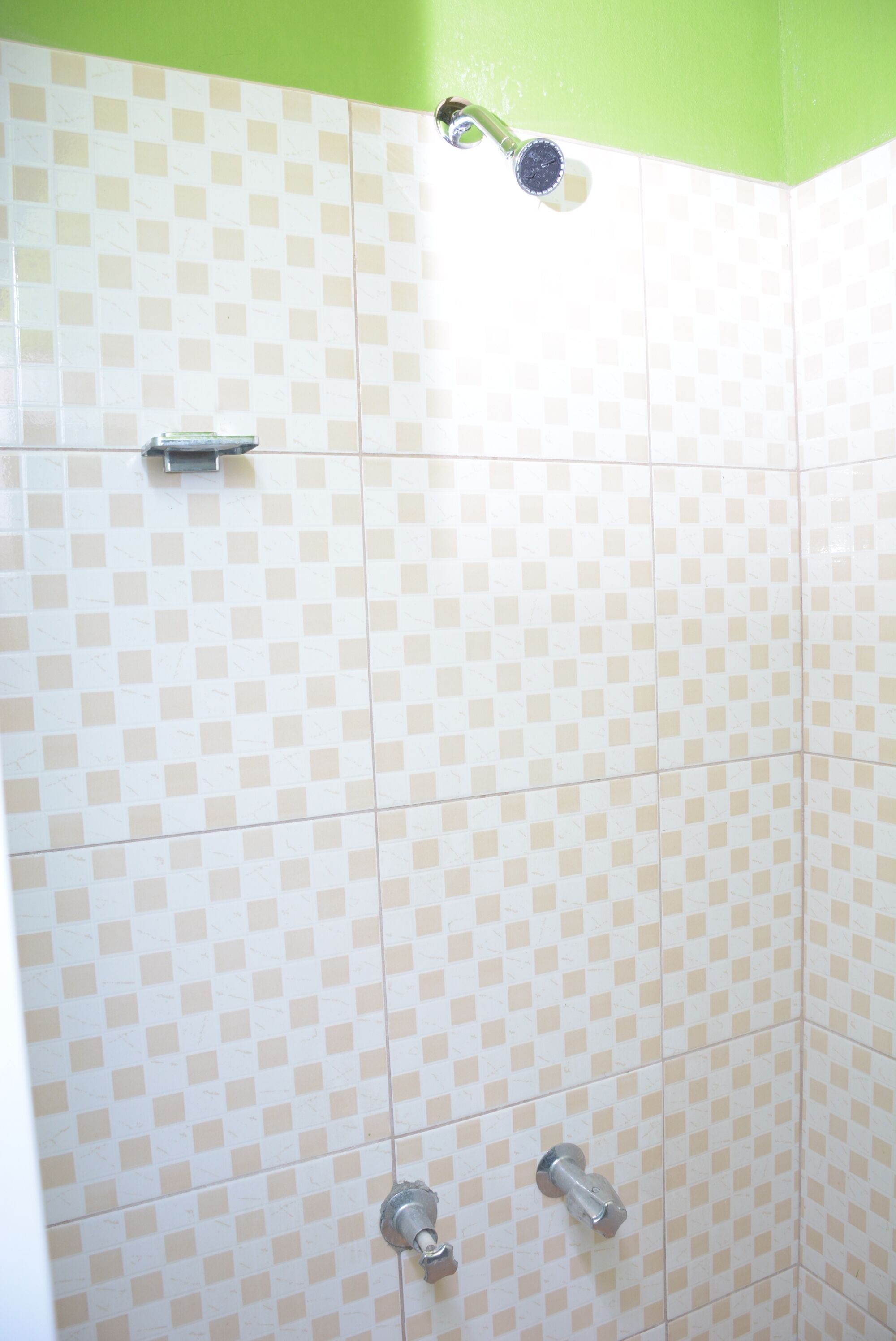 Un área de ducha con azulejos, una pared verde y un diseño de baldosas a cuadros.