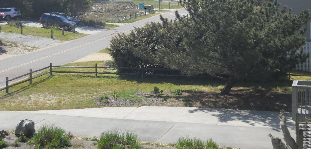 A residential area with a road leading to a beach access point, surrounded by houses and greenery.