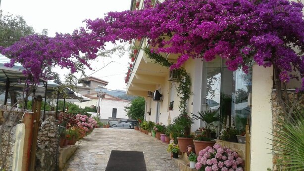 Un étroit sentier de pierre mène à un bâtiment orné de magnifiques fleurs de bougainvillier d'un violet éclatant.