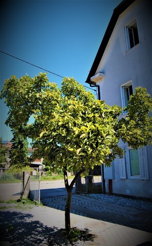 Exterior - Rose Valley Ljubljana (Ljubljana)