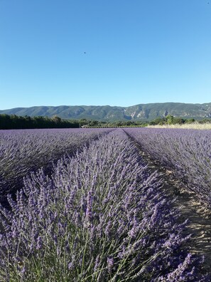 Imagen sin descripción, 3 de 19, botón