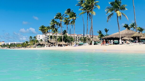 A beach with clear turquoise water, palm trees, and a resort with thatched-roof huts. - The Palm Leaf Apartments (Noord)