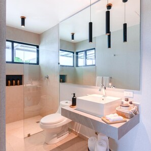 Buồng tắm vòi sen, vòi sen phun mưa, máy sấy tóc, khăn tắm 