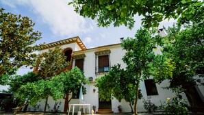 A courtyard with a fountain, white walls, and trees. - San Antonio Rural House. Villa 3 (3 bedrooms) (Cabra (Córdoba))