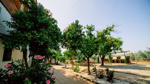 A courtyard with a paved walkway, trees, and a building with a white facade. - San Antonio Rural House. Villa 3 (3 bedrooms) (Cabra (Córdoba))