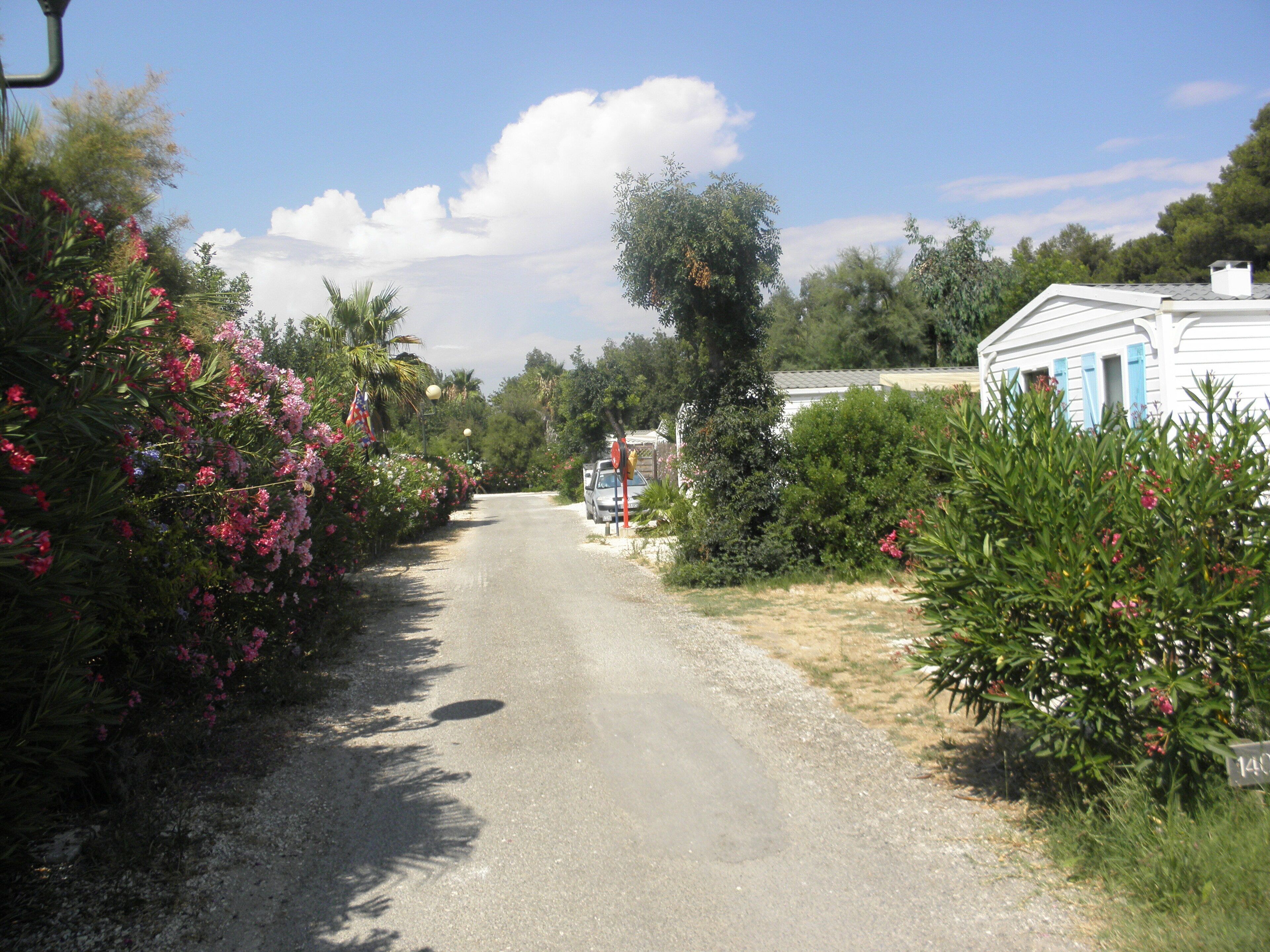 المنطقة المحيطة بالمنشأة