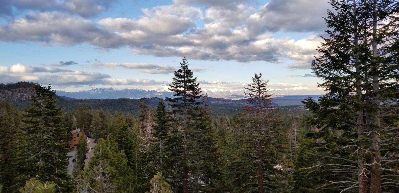 A forested mountain landscape with a cabin.