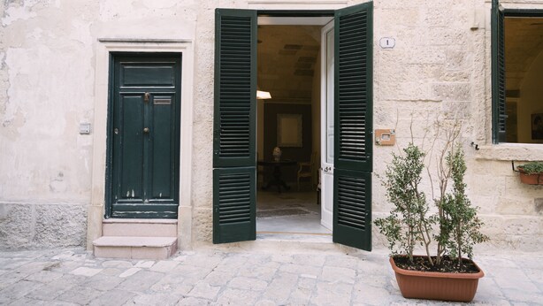 A building entrance with a green door and shutters, a potted plant, and a cobblestone path.