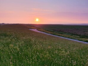 Nicht klassifiziertes Bild, 3 von 13, Schaltfläche