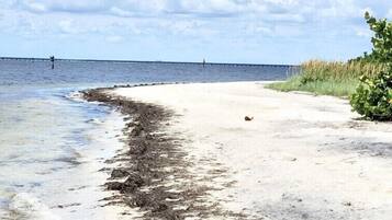 Vlak bij het strand, ligstoelen aan het strand, strandlakens