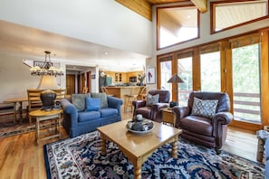 TV, fireplace, video games, DVD player