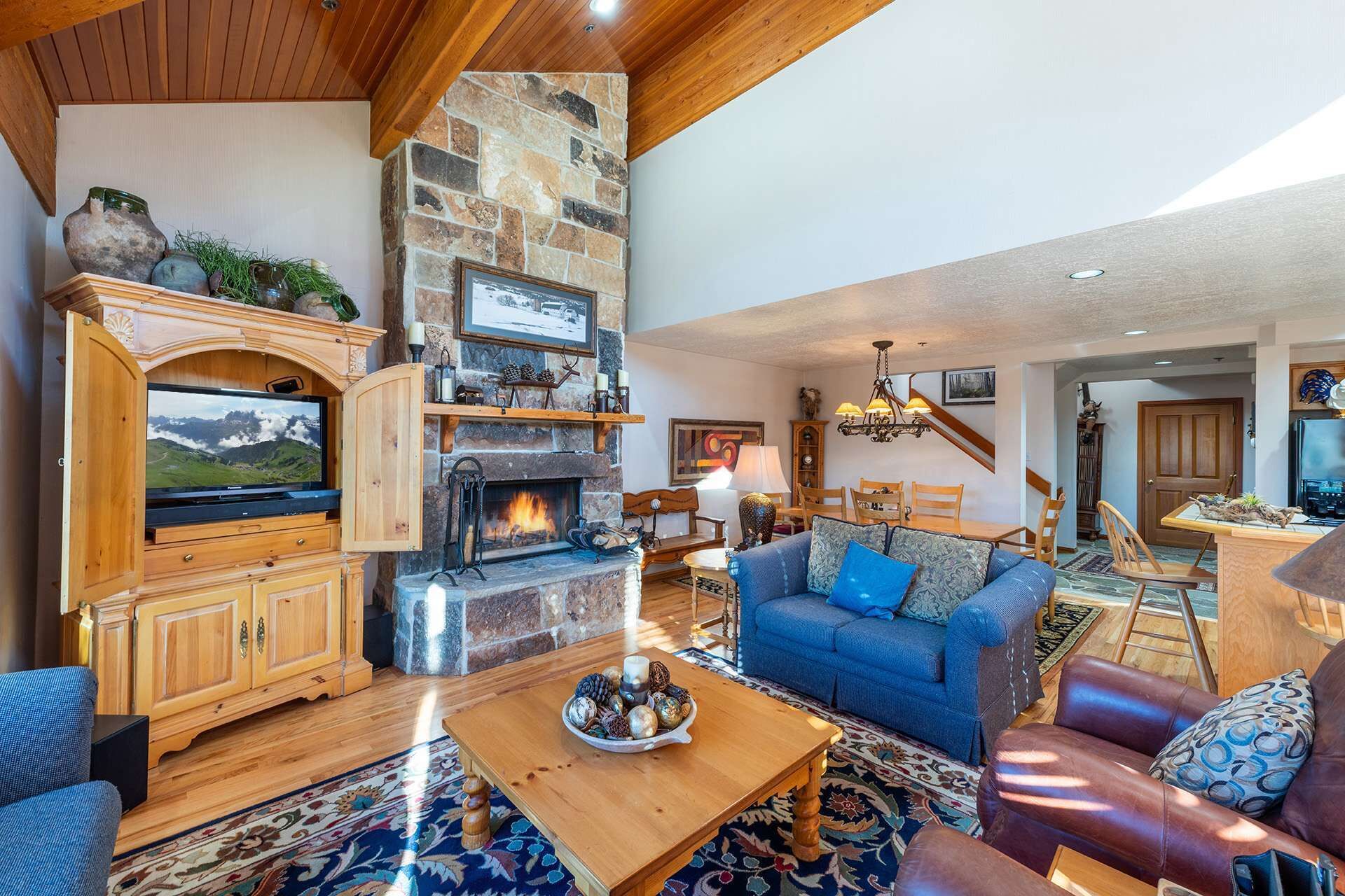 电视、壁炉、电子游戏、DVD 播放器